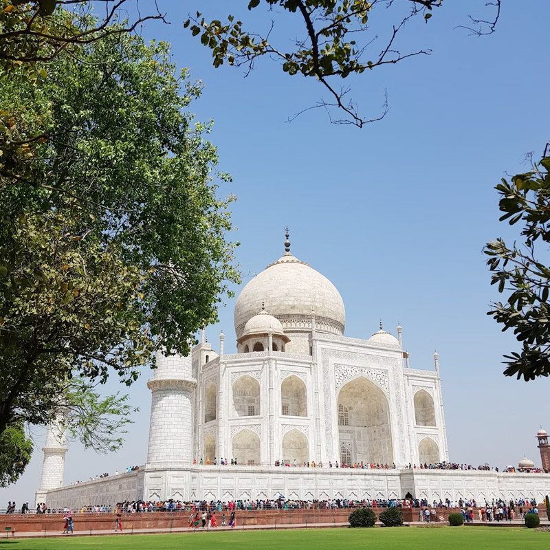 Taj Nature Walk Tour