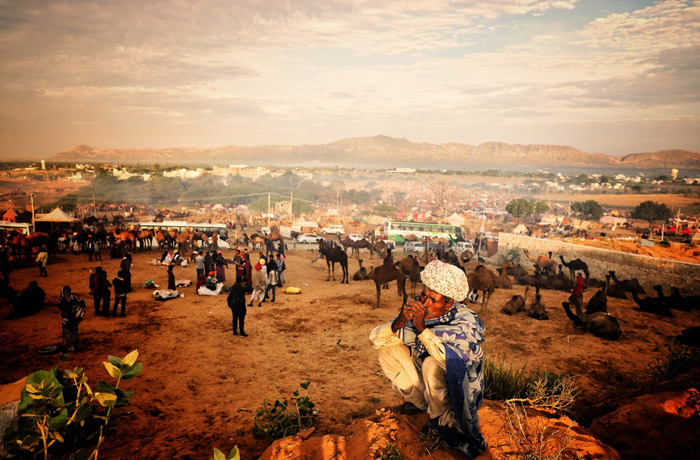 Golden Triangle With Ajmer Pushkar